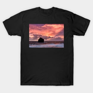 Pink Sky, Pink Water T-Shirt